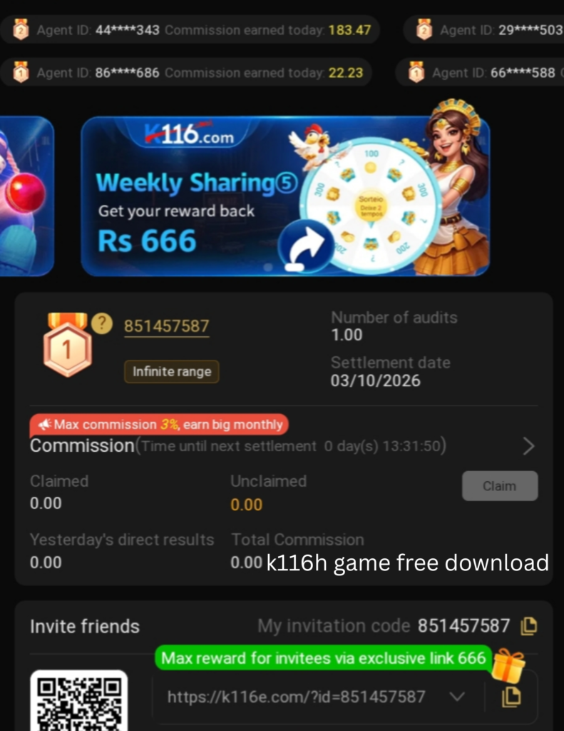 k116h game